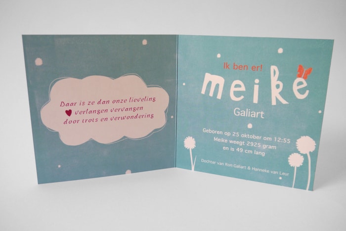 Geboortekaartje Meike