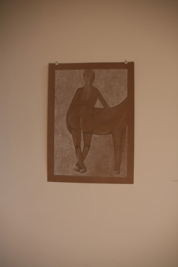 Vrouw en paard